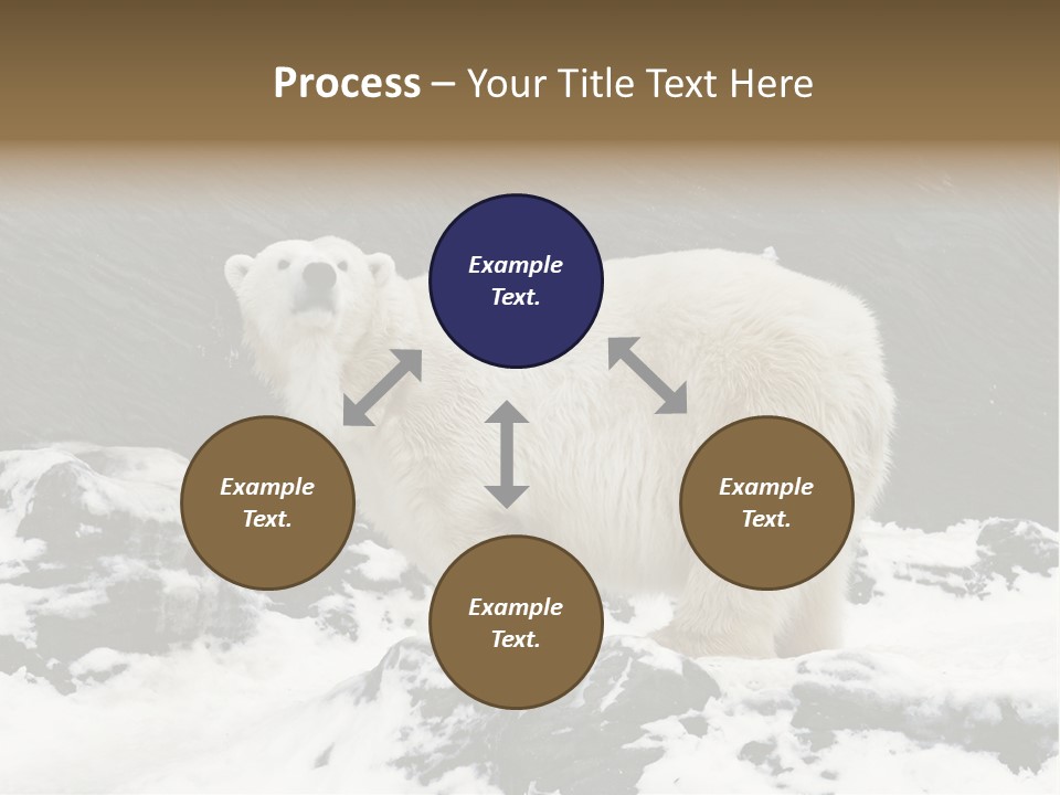 Pole Pool Arctic PowerPoint Template