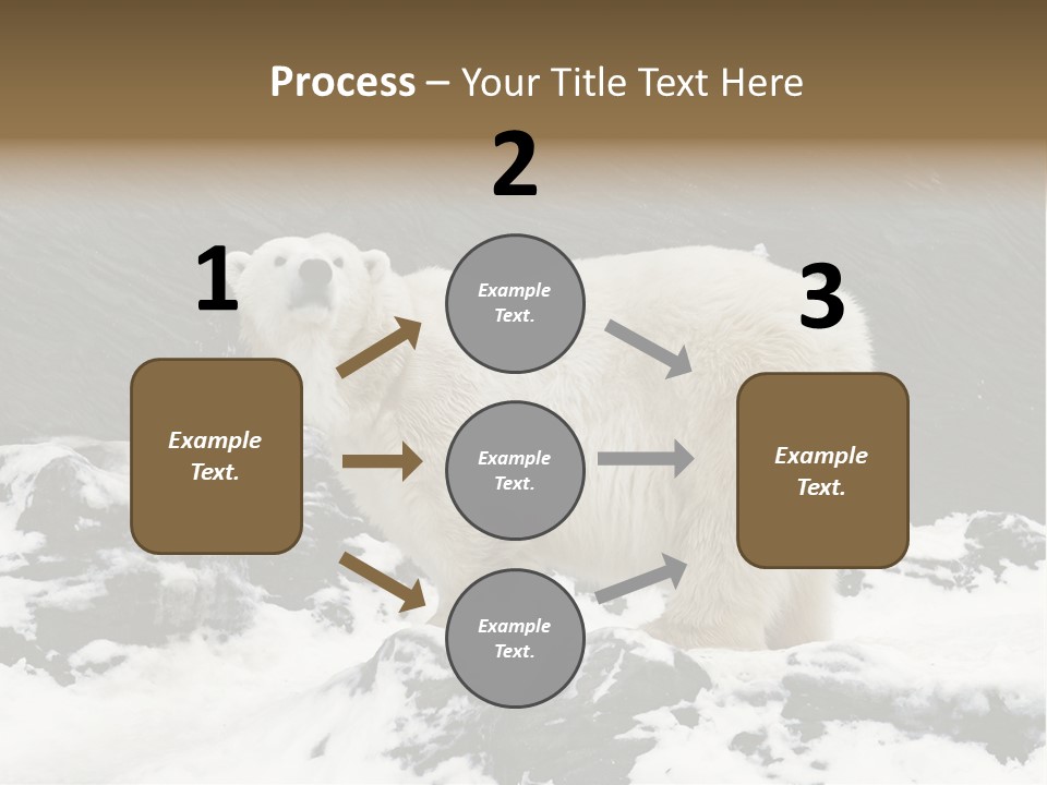 Pole Pool Arctic PowerPoint Template