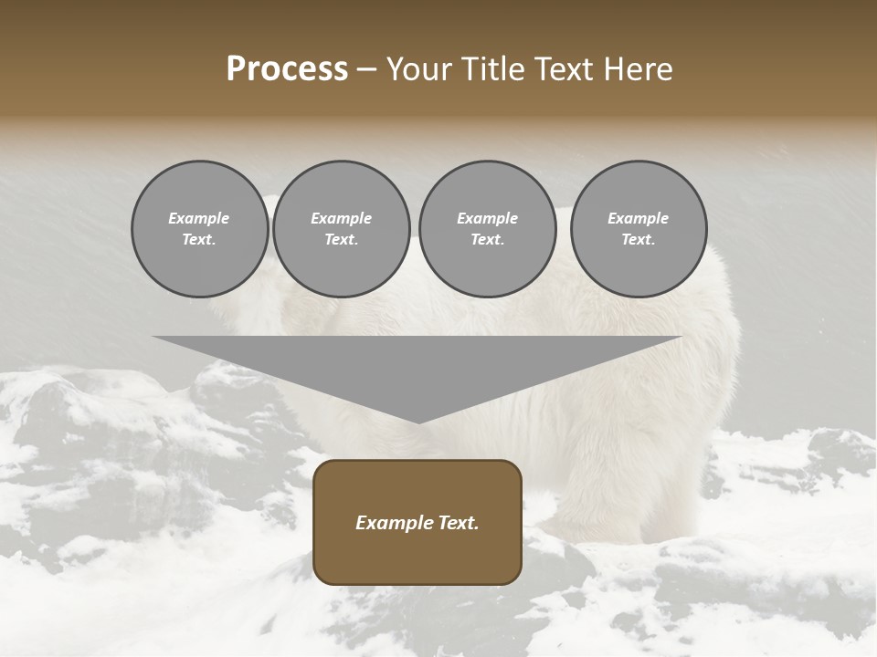 Pole Pool Arctic PowerPoint Template