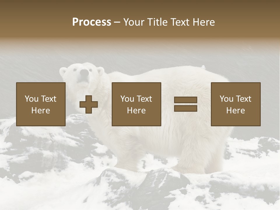 Pole Pool Arctic PowerPoint Template