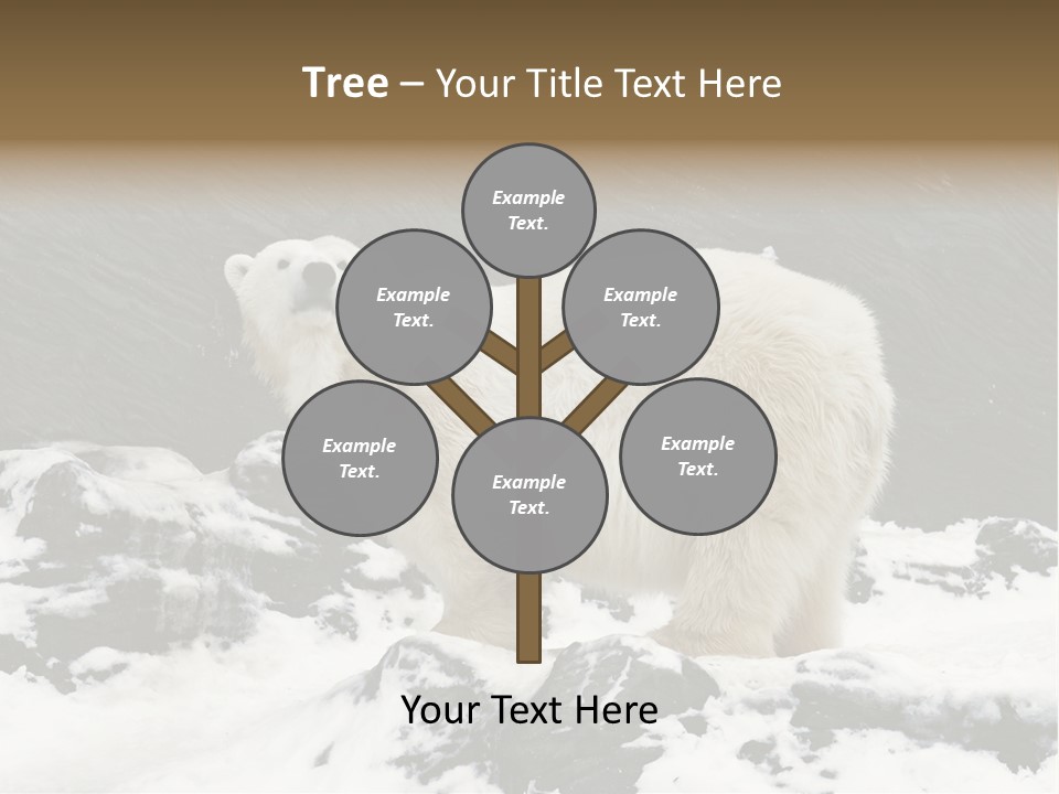 Pole Pool Arctic PowerPoint Template