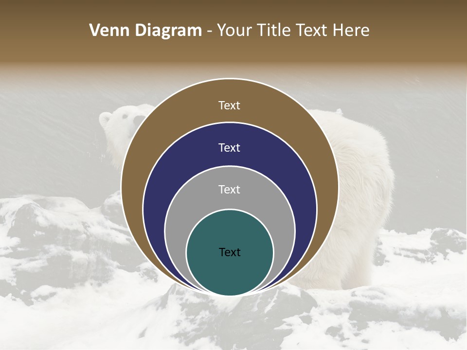 Pole Pool Arctic PowerPoint Template