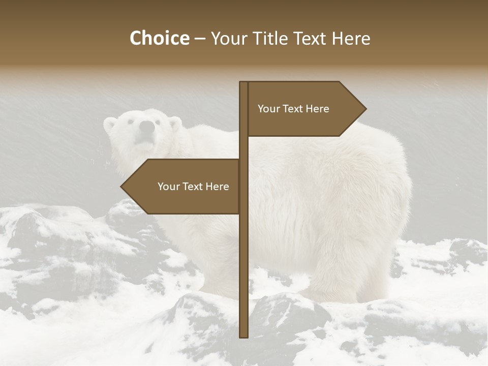 Pole Pool Arctic PowerPoint Template