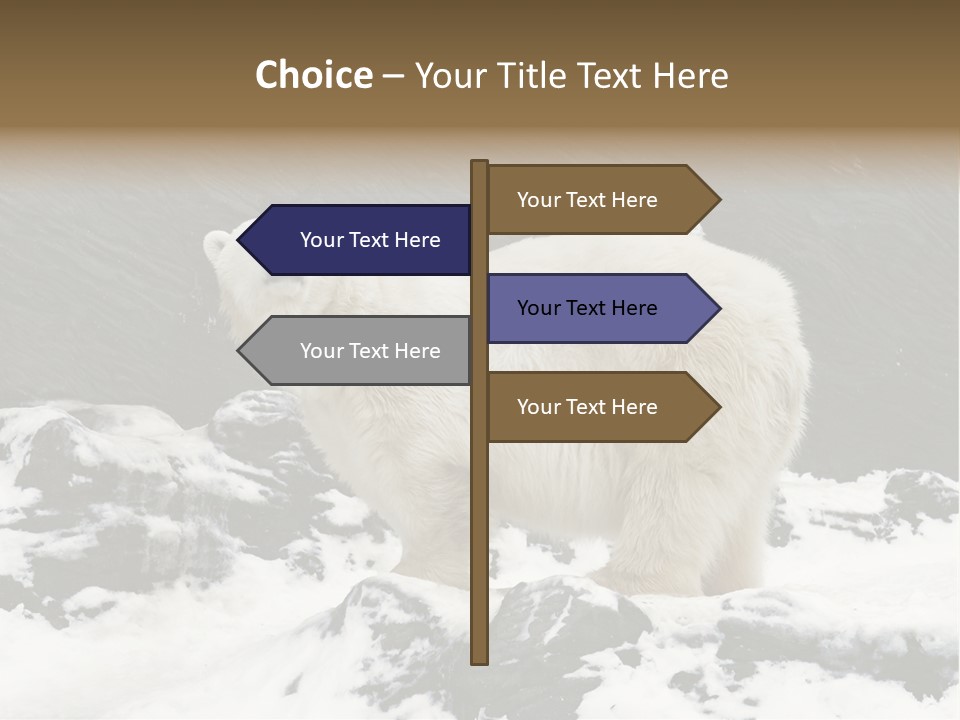 Pole Pool Arctic PowerPoint Template