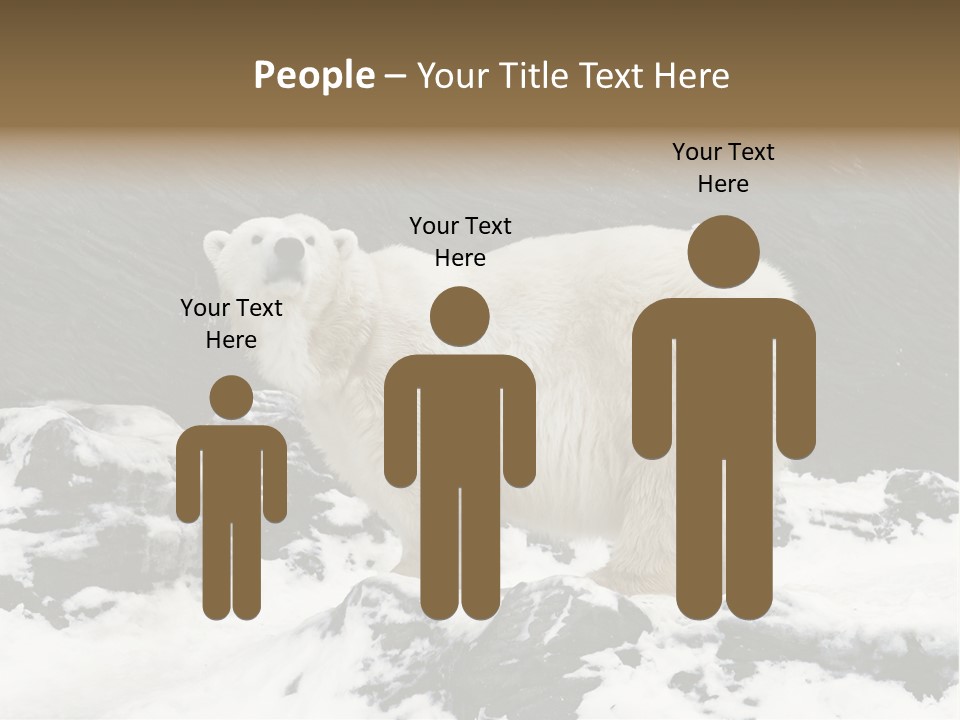 Pole Pool Arctic PowerPoint Template