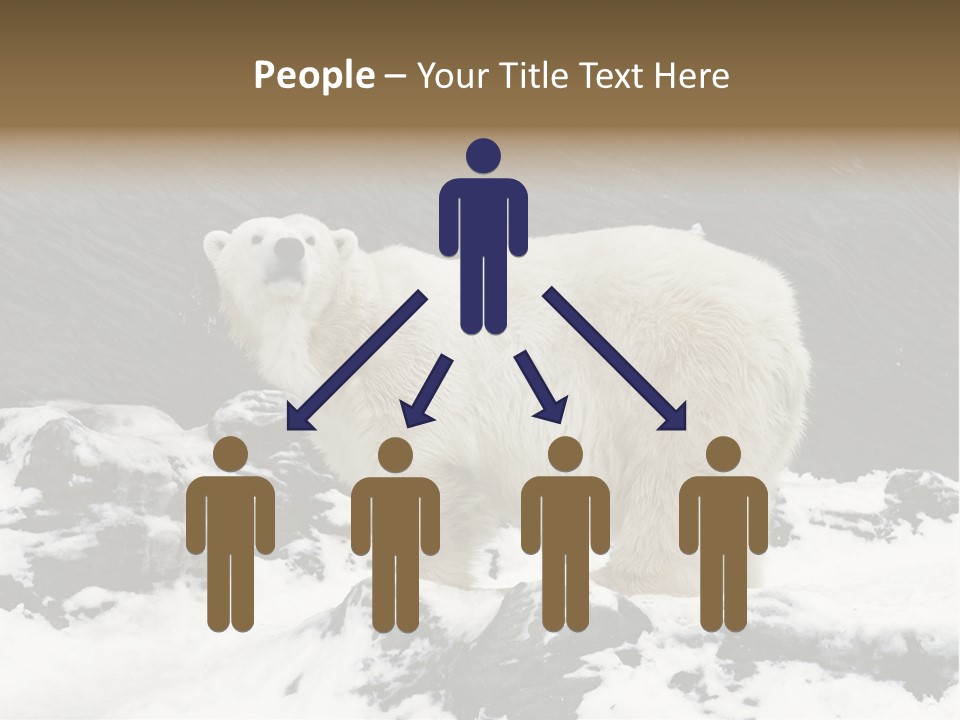 Pole Pool Arctic PowerPoint Template