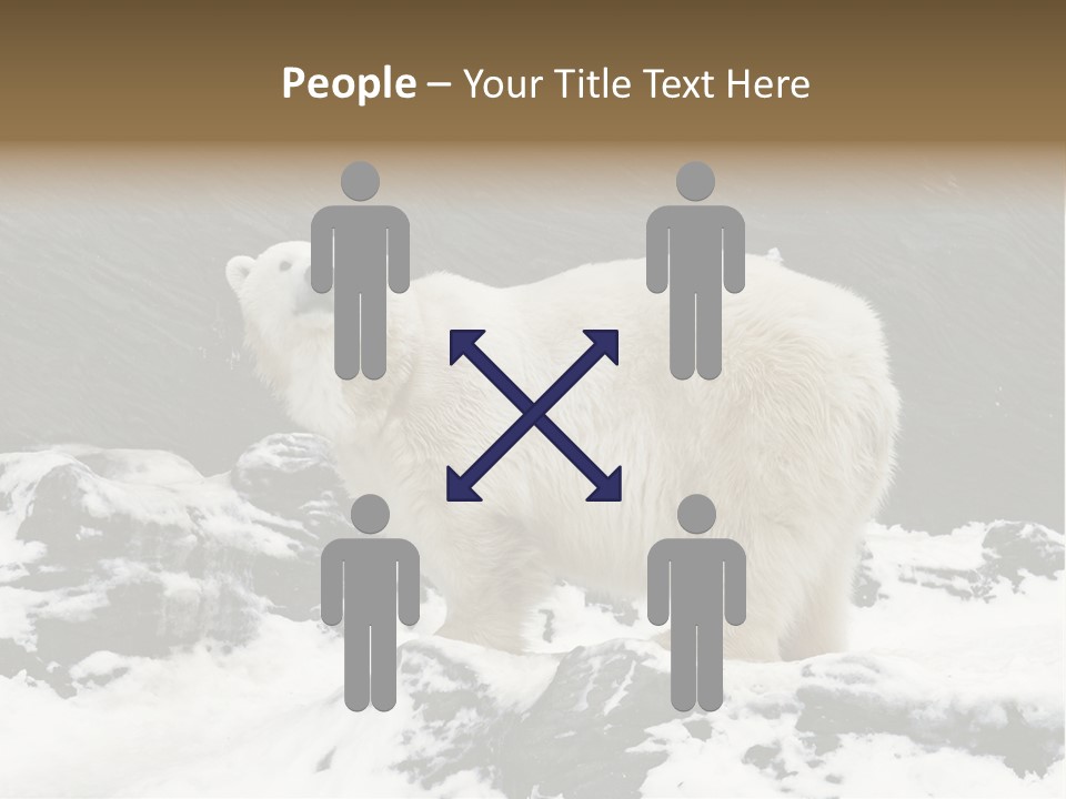 Pole Pool Arctic PowerPoint Template