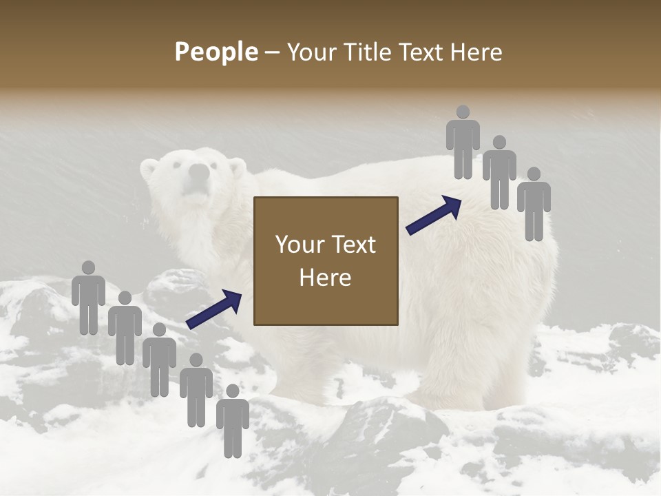 Pole Pool Arctic PowerPoint Template