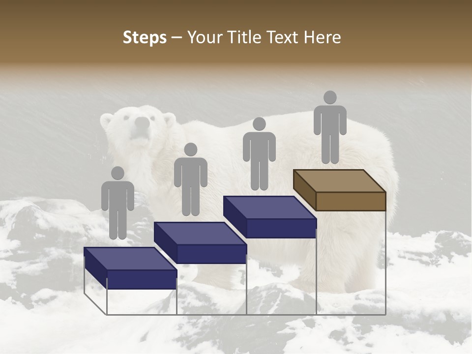 Pole Pool Arctic PowerPoint Template