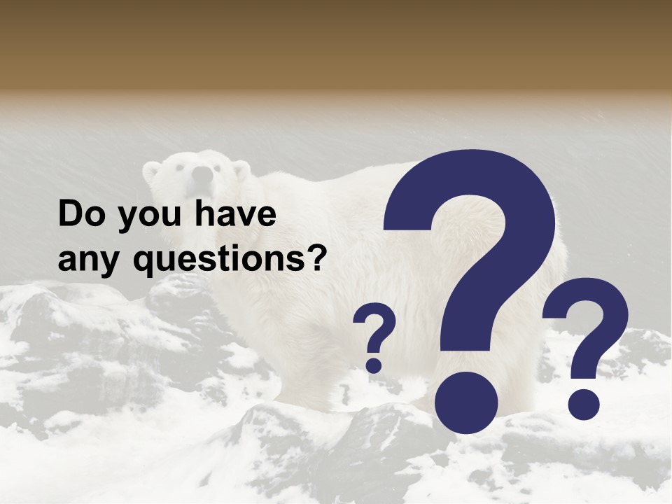 Pole Pool Arctic PowerPoint Template