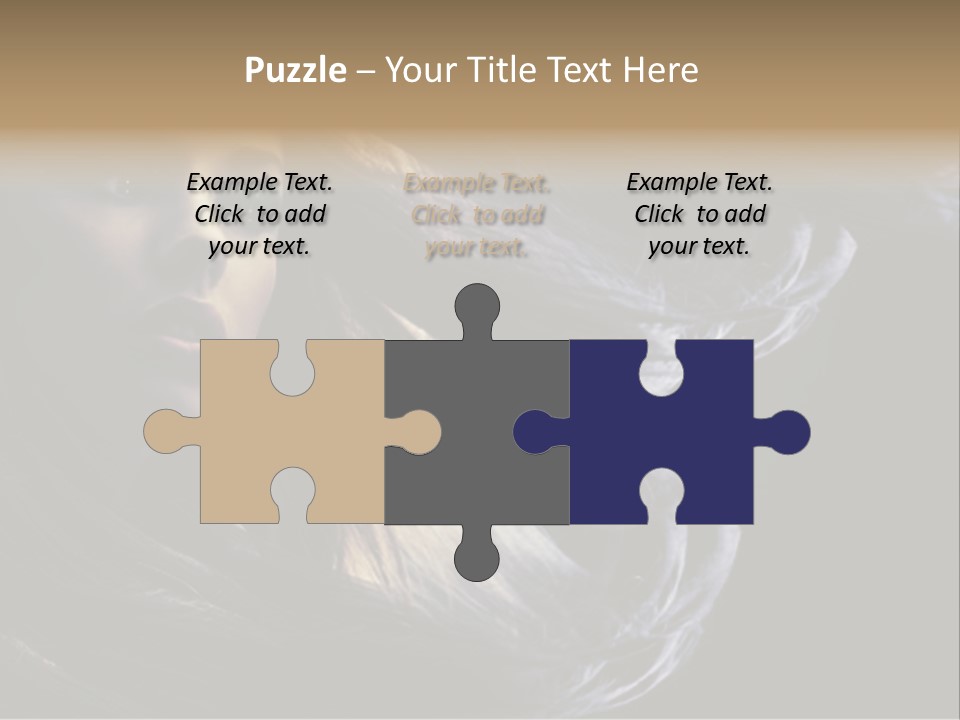 Hairstyle One Hairdresser PowerPoint Template