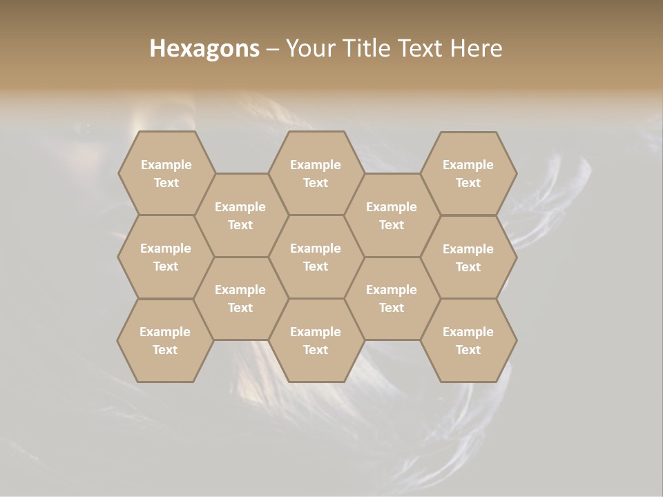 Hairstyle One Hairdresser PowerPoint Template