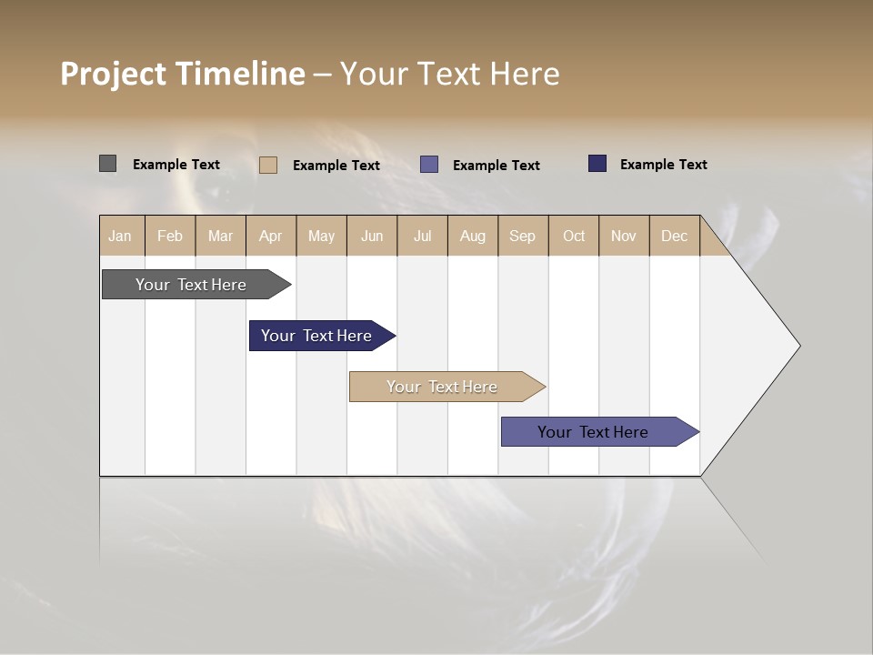 Hairstyle One Hairdresser PowerPoint Template
