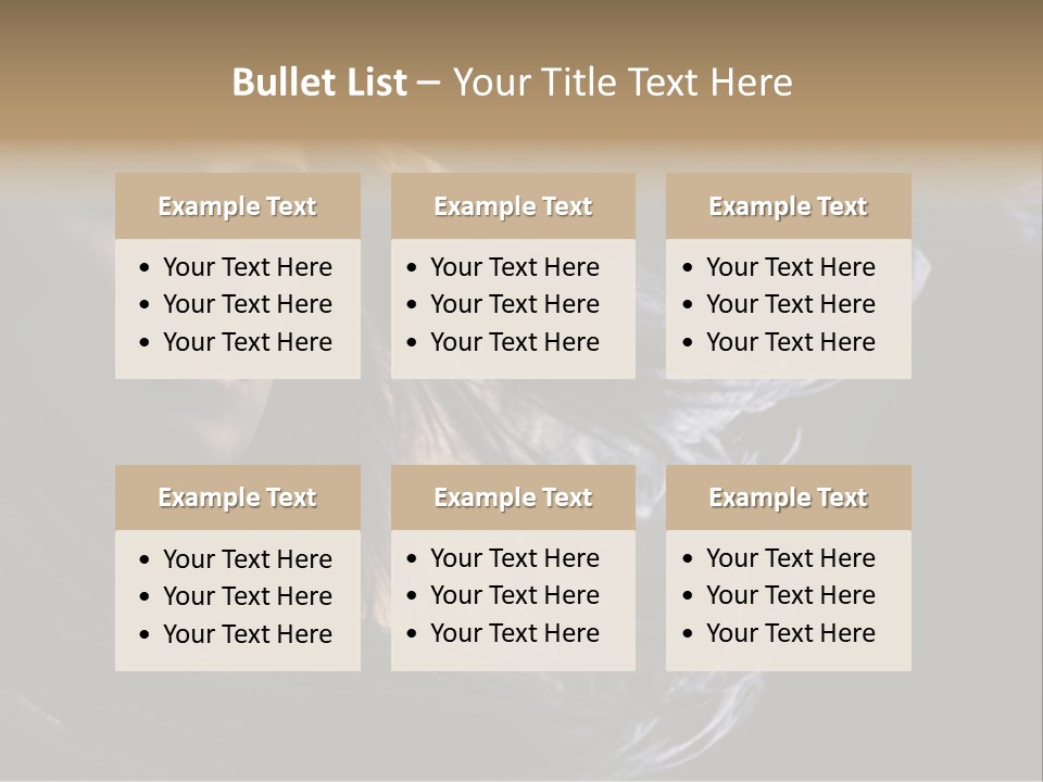 Hairstyle One Hairdresser PowerPoint Template