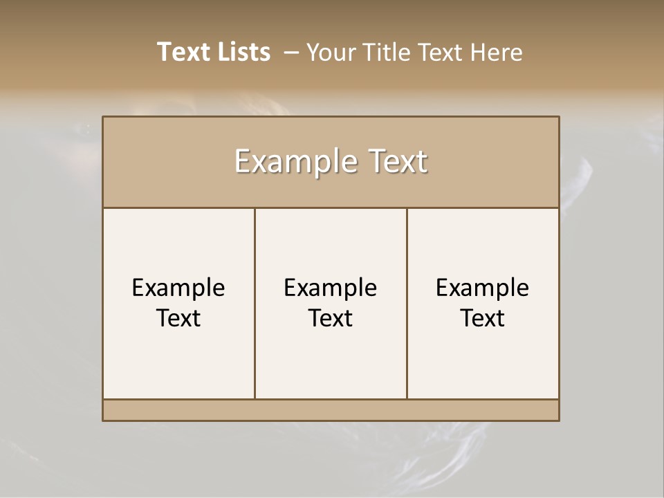 Hairstyle One Hairdresser PowerPoint Template