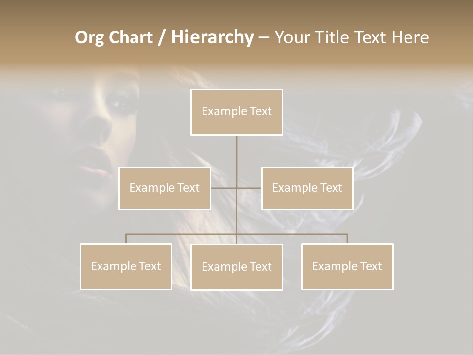 Hairstyle One Hairdresser PowerPoint Template