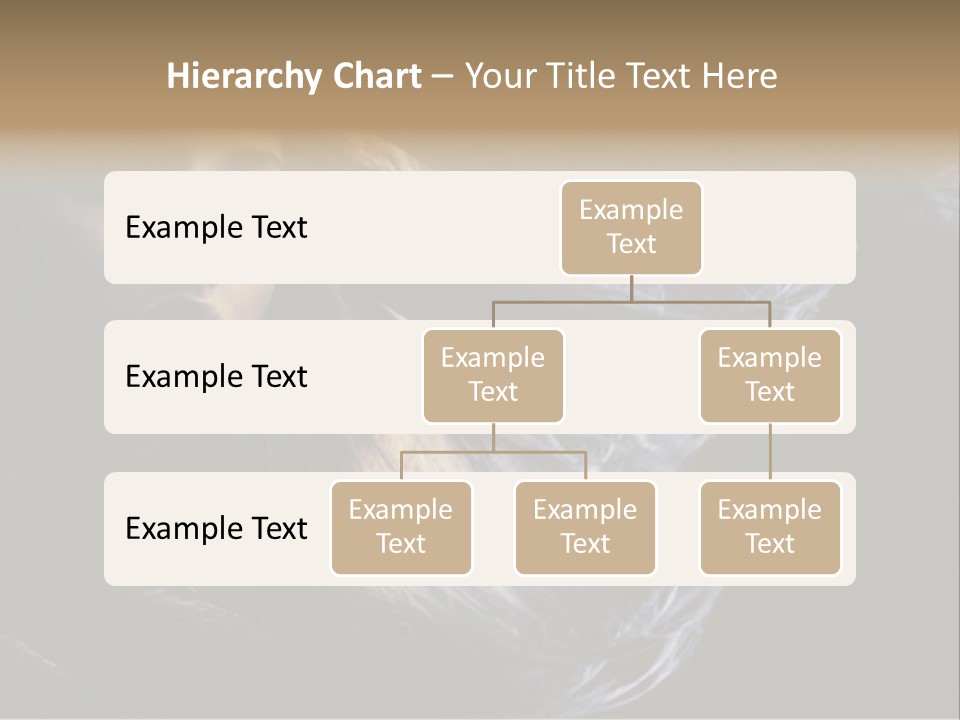Hairstyle One Hairdresser PowerPoint Template