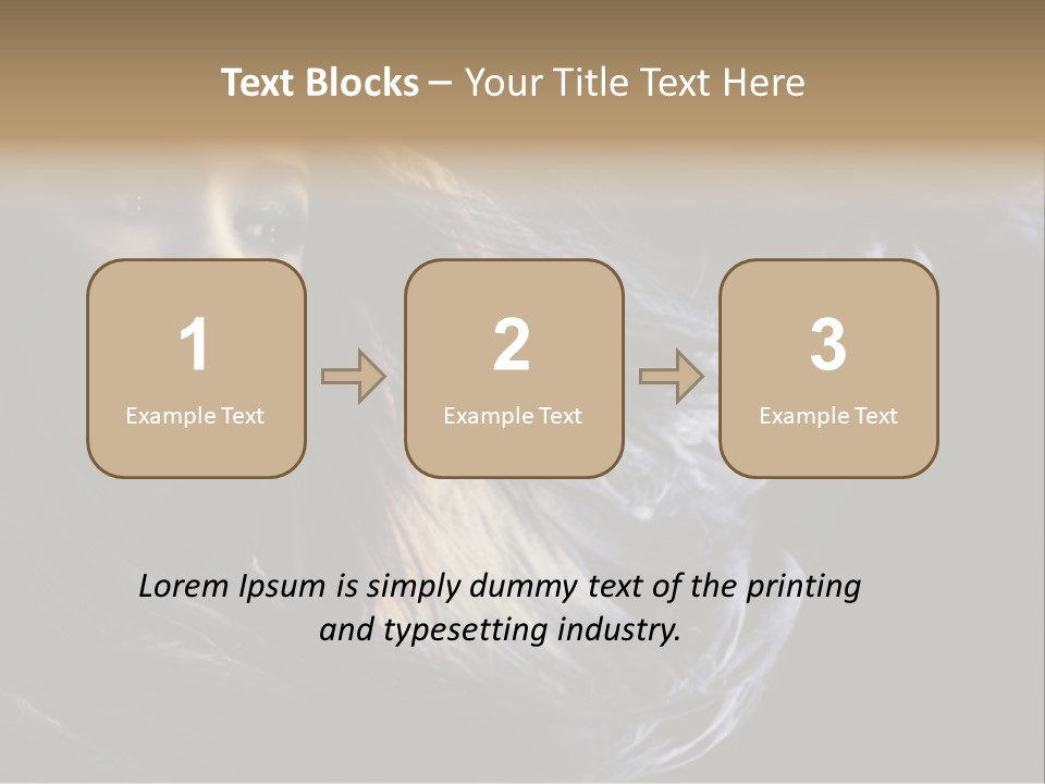 Hairstyle One Hairdresser PowerPoint Template