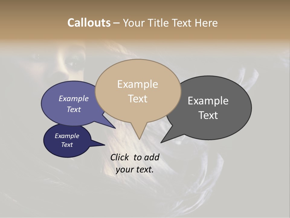 Hairstyle One Hairdresser PowerPoint Template