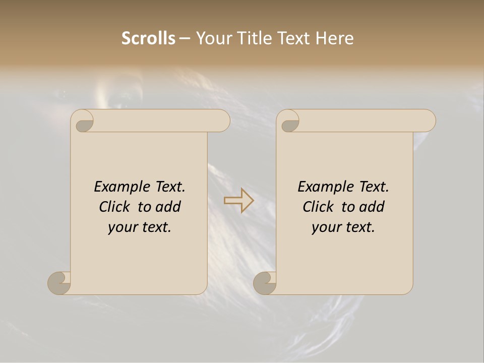 Hairstyle One Hairdresser PowerPoint Template