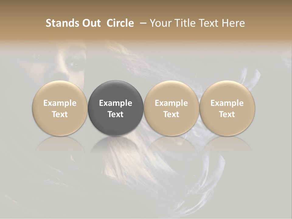 Hairstyle One Hairdresser PowerPoint Template