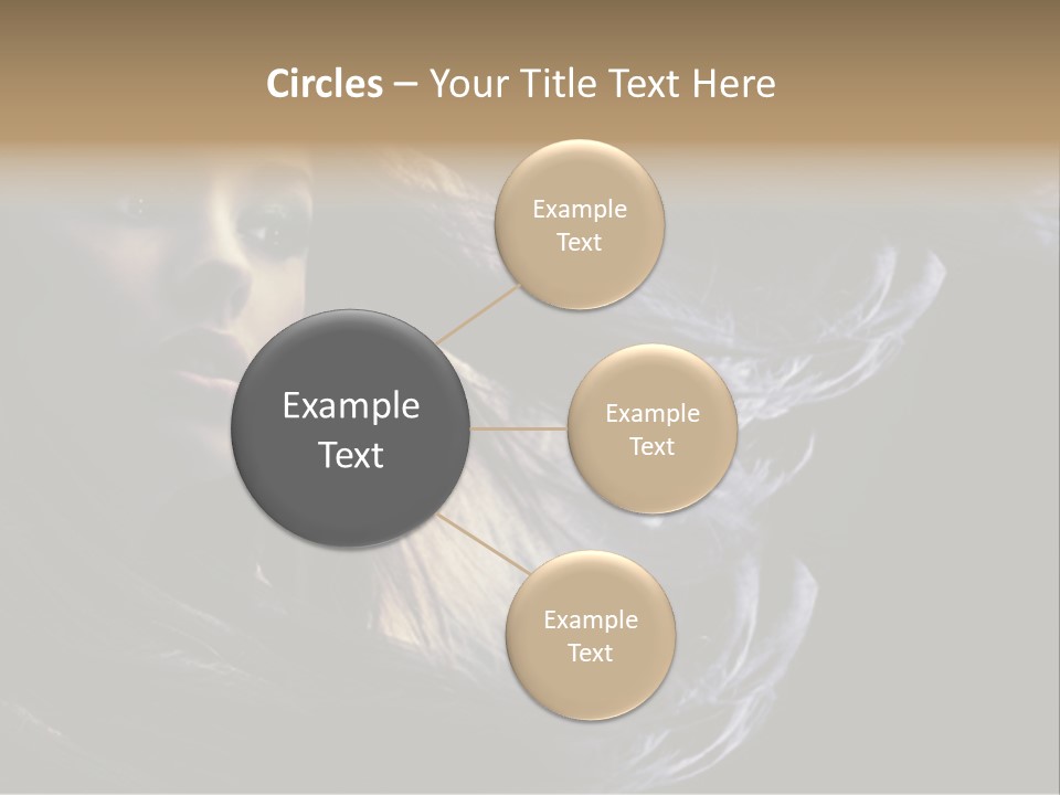 Hairstyle One Hairdresser PowerPoint Template