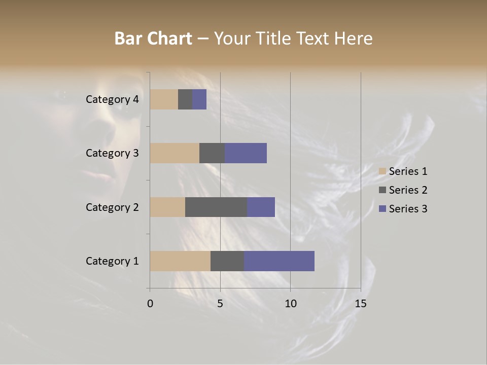 Hairstyle One Hairdresser PowerPoint Template