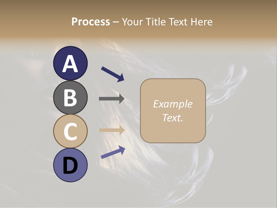 Hairstyle One Hairdresser PowerPoint Template