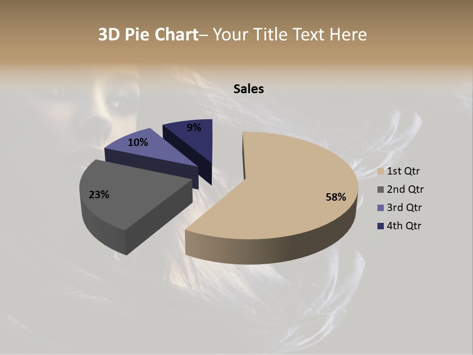 Hairstyle One Hairdresser PowerPoint Template