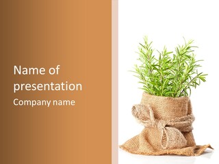 Remedy Bow Hessian PowerPoint Template