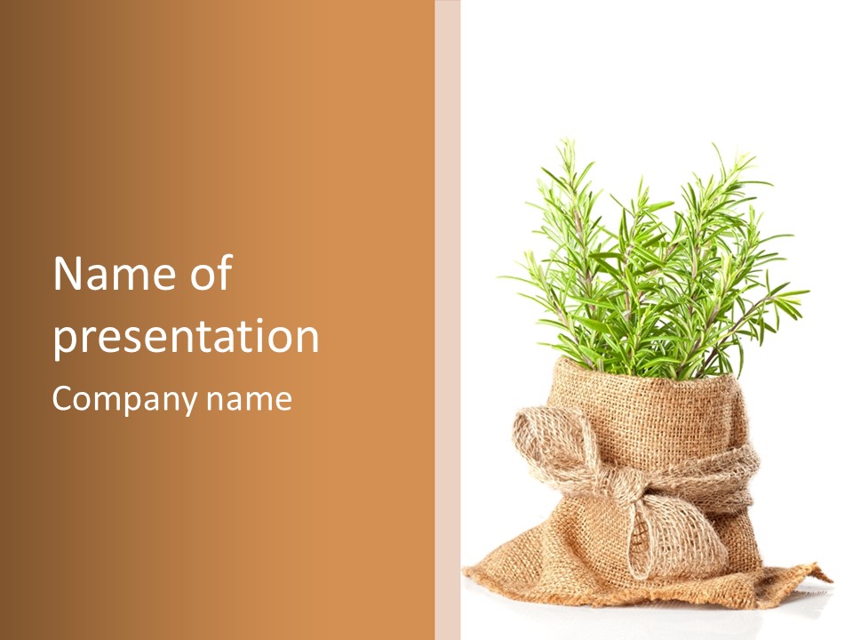 Remedy Bow Hessian PowerPoint Template