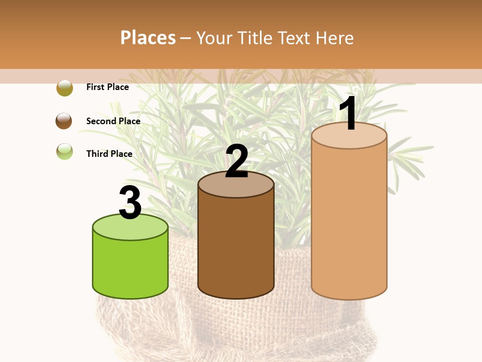 Remedy Bow Hessian PowerPoint Template