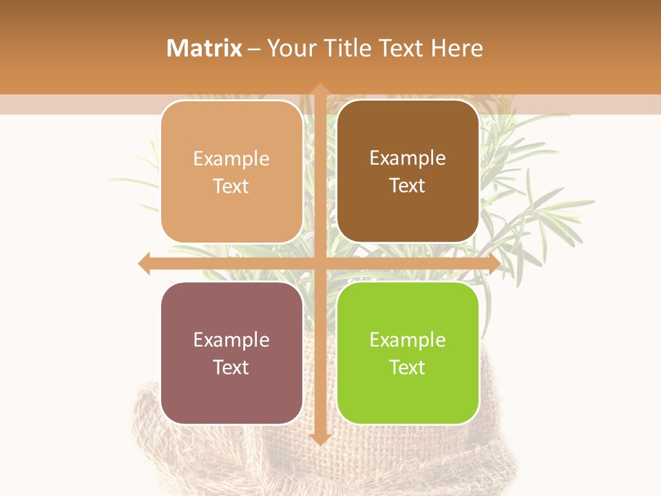 Remedy Bow Hessian PowerPoint Template