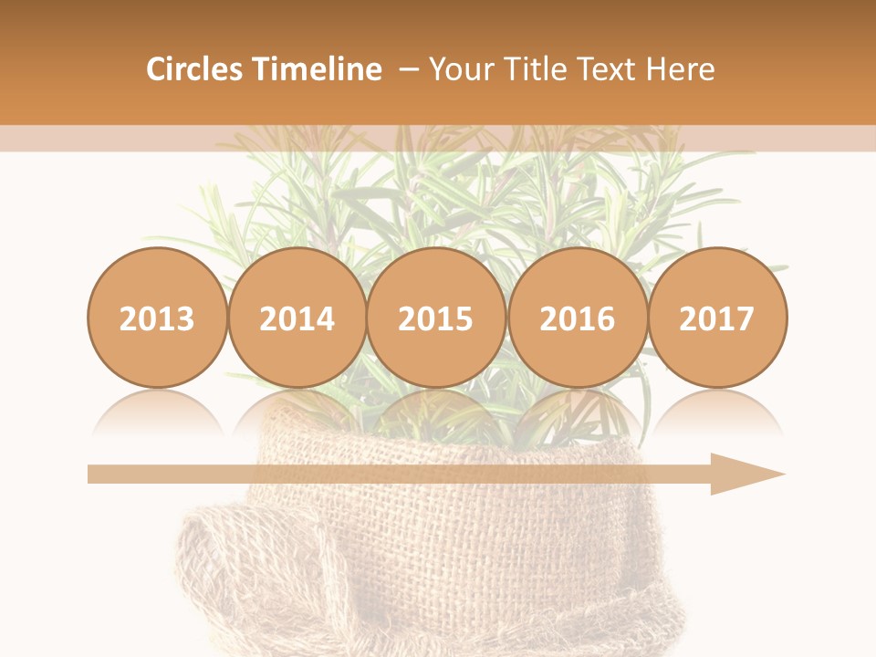 Remedy Bow Hessian PowerPoint Template