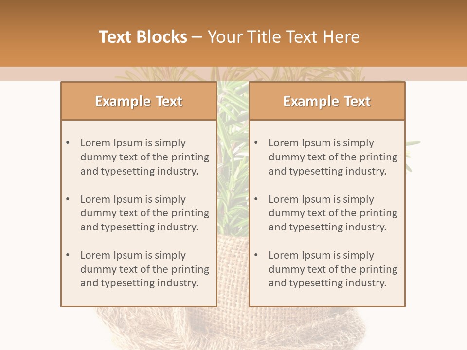 Remedy Bow Hessian PowerPoint Template