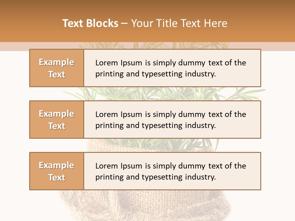 Remedy Bow Hessian PowerPoint Template