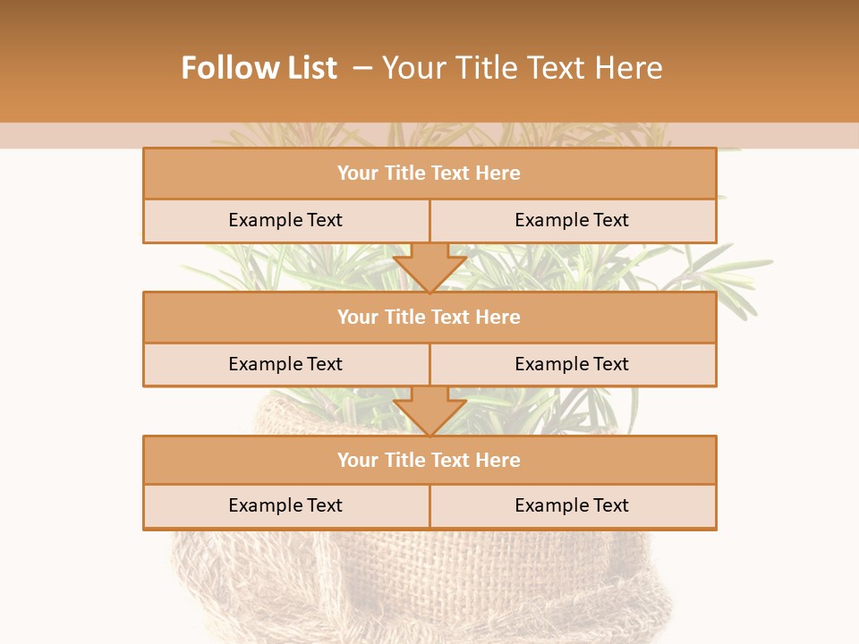 Remedy Bow Hessian PowerPoint Template