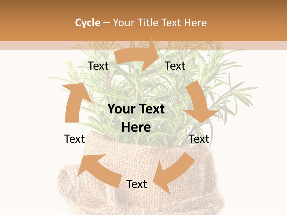 Remedy Bow Hessian PowerPoint Template