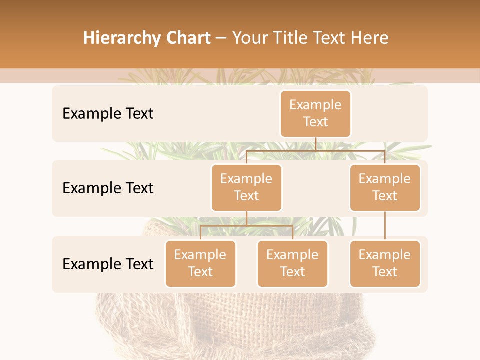 Remedy Bow Hessian PowerPoint Template