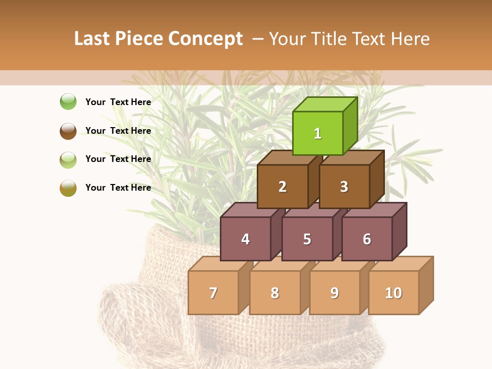 Remedy Bow Hessian PowerPoint Template