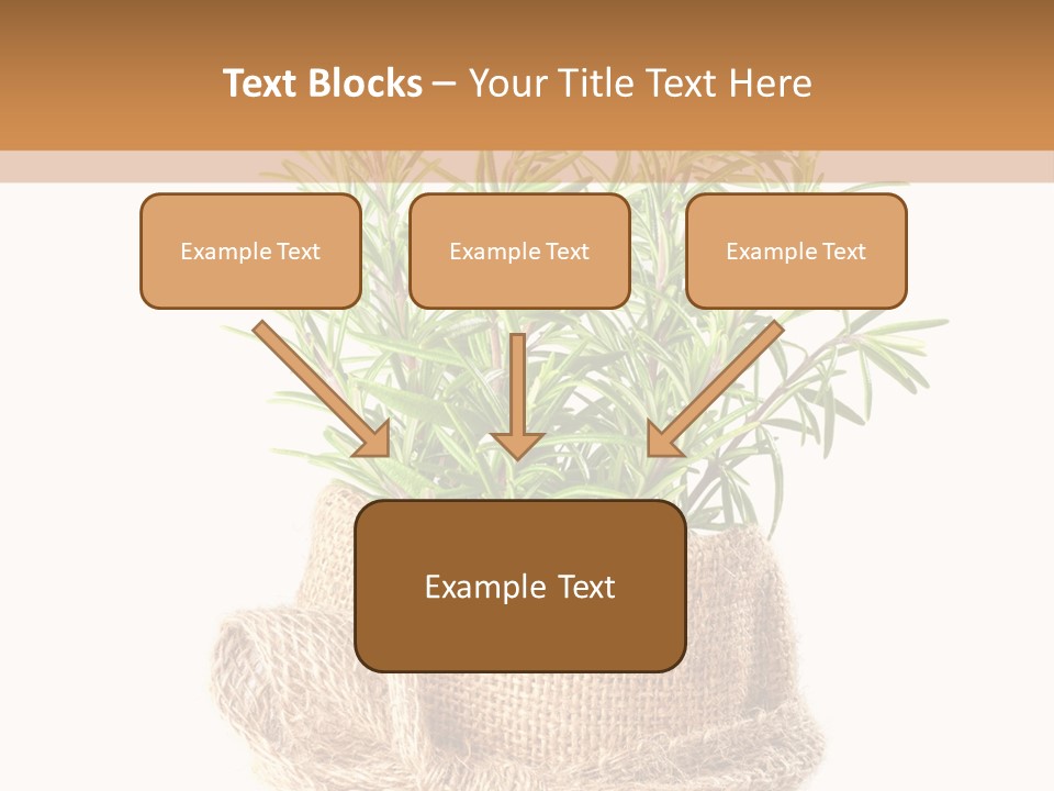 Remedy Bow Hessian PowerPoint Template