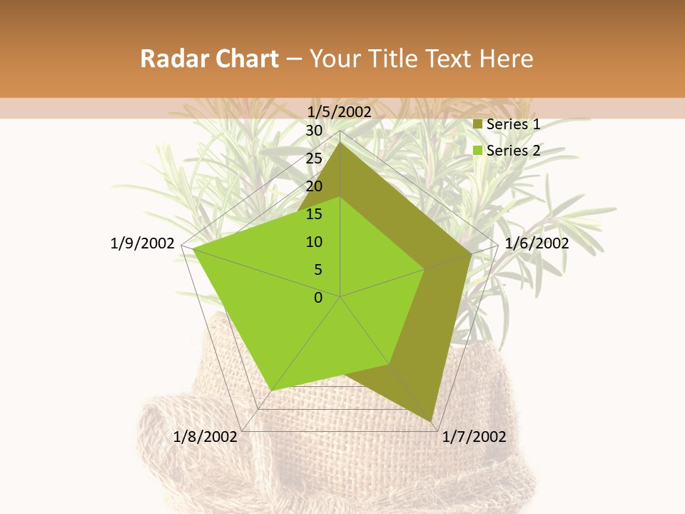 Remedy Bow Hessian PowerPoint Template