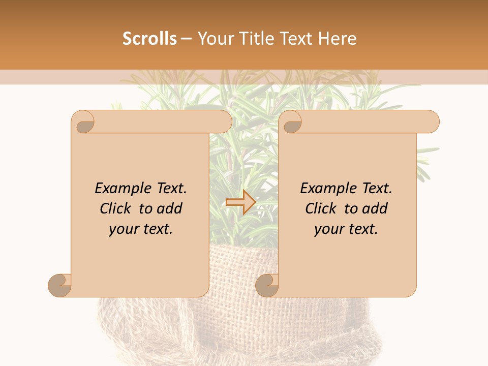 Remedy Bow Hessian PowerPoint Template