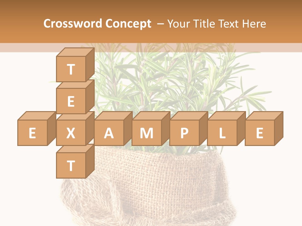 Remedy Bow Hessian PowerPoint Template