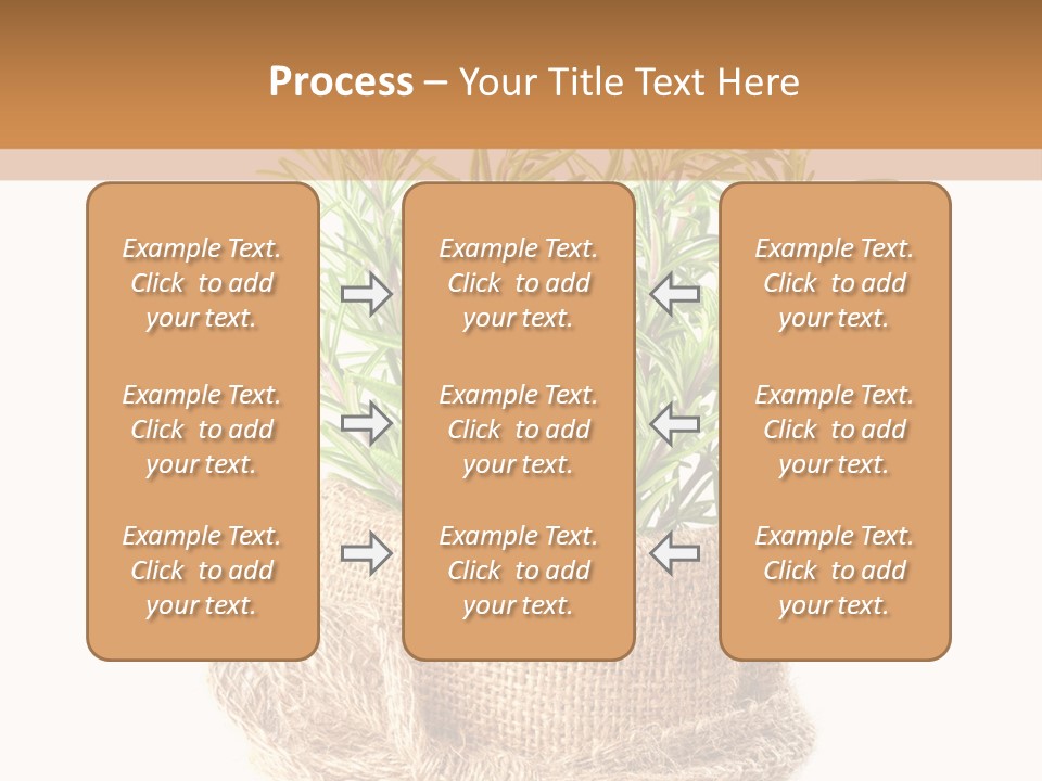 Remedy Bow Hessian PowerPoint Template