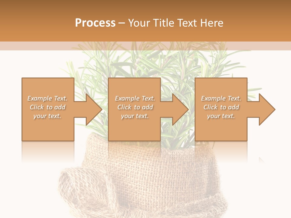 Remedy Bow Hessian PowerPoint Template