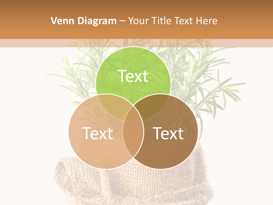 Remedy Bow Hessian PowerPoint Template