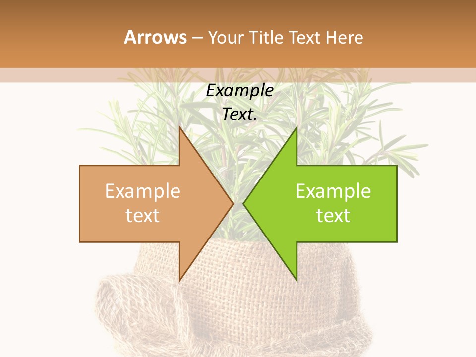 Remedy Bow Hessian PowerPoint Template