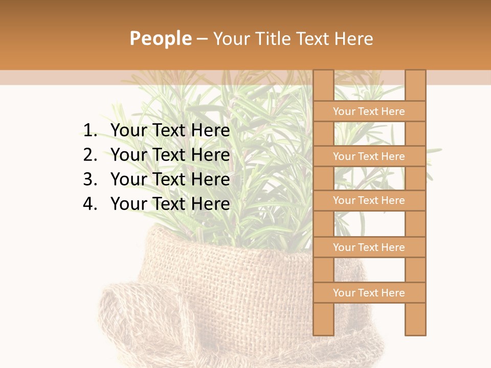 Remedy Bow Hessian PowerPoint Template