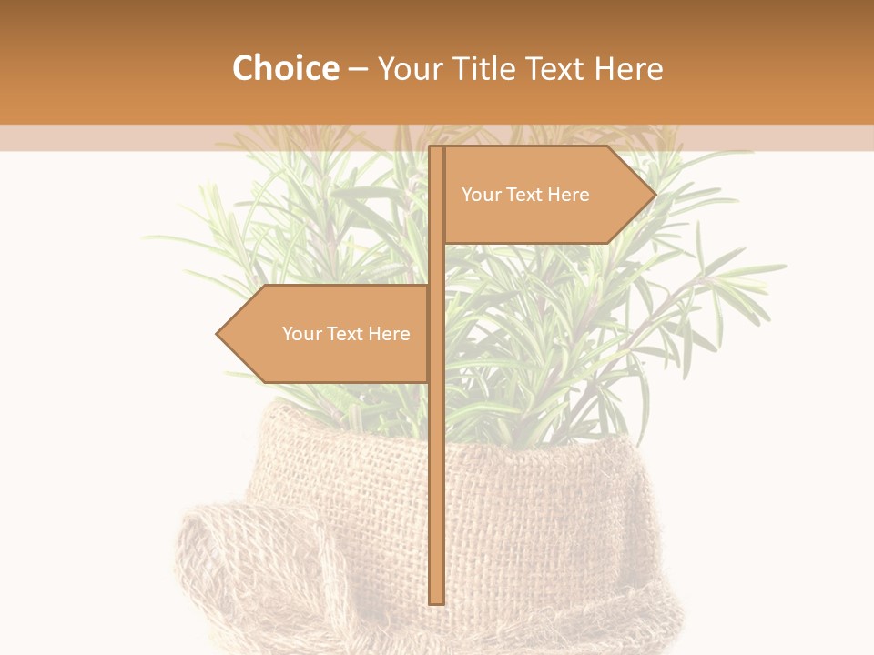 Remedy Bow Hessian PowerPoint Template